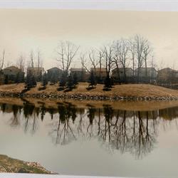 'Baby' Loafers Lake, 1982